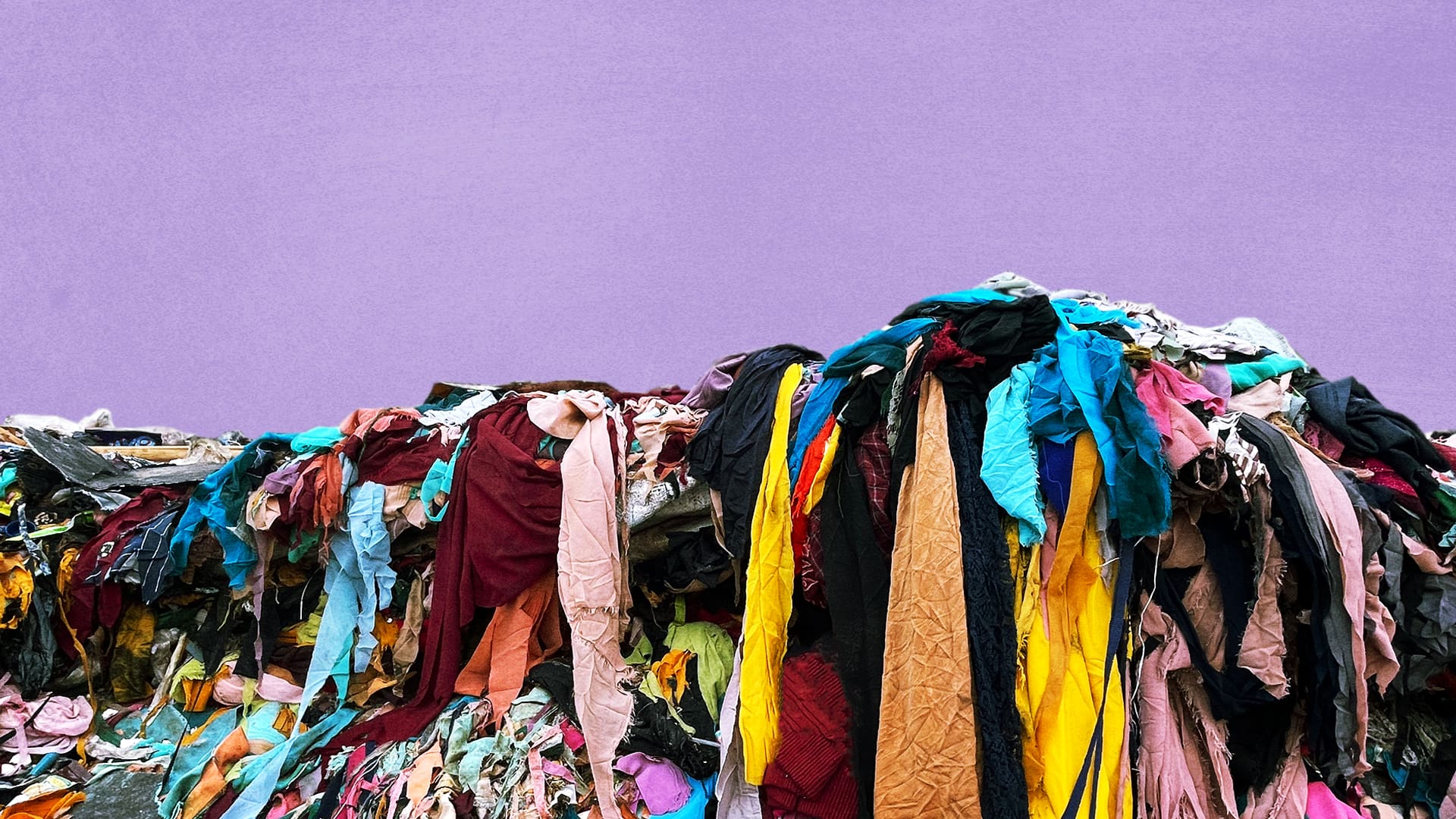 Nearly 100 million tons of textiles are wasted every year. What if we could recycle it instead?